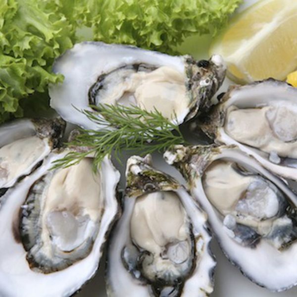 Raw Oysters (Market Price)